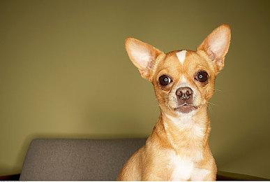 RTX4090测试《极限竞速：Motorsport》 4K分辨率无法稳定40帧